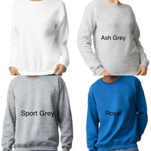 Load image into Gallery viewer, 100 Days of Rider Pride Tee/ LS/ Crew/ Hoodie