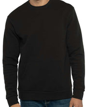 Load image into Gallery viewer, Halloween PTA Ducks Tshirt/ LS/ Crew/ Hoodie
